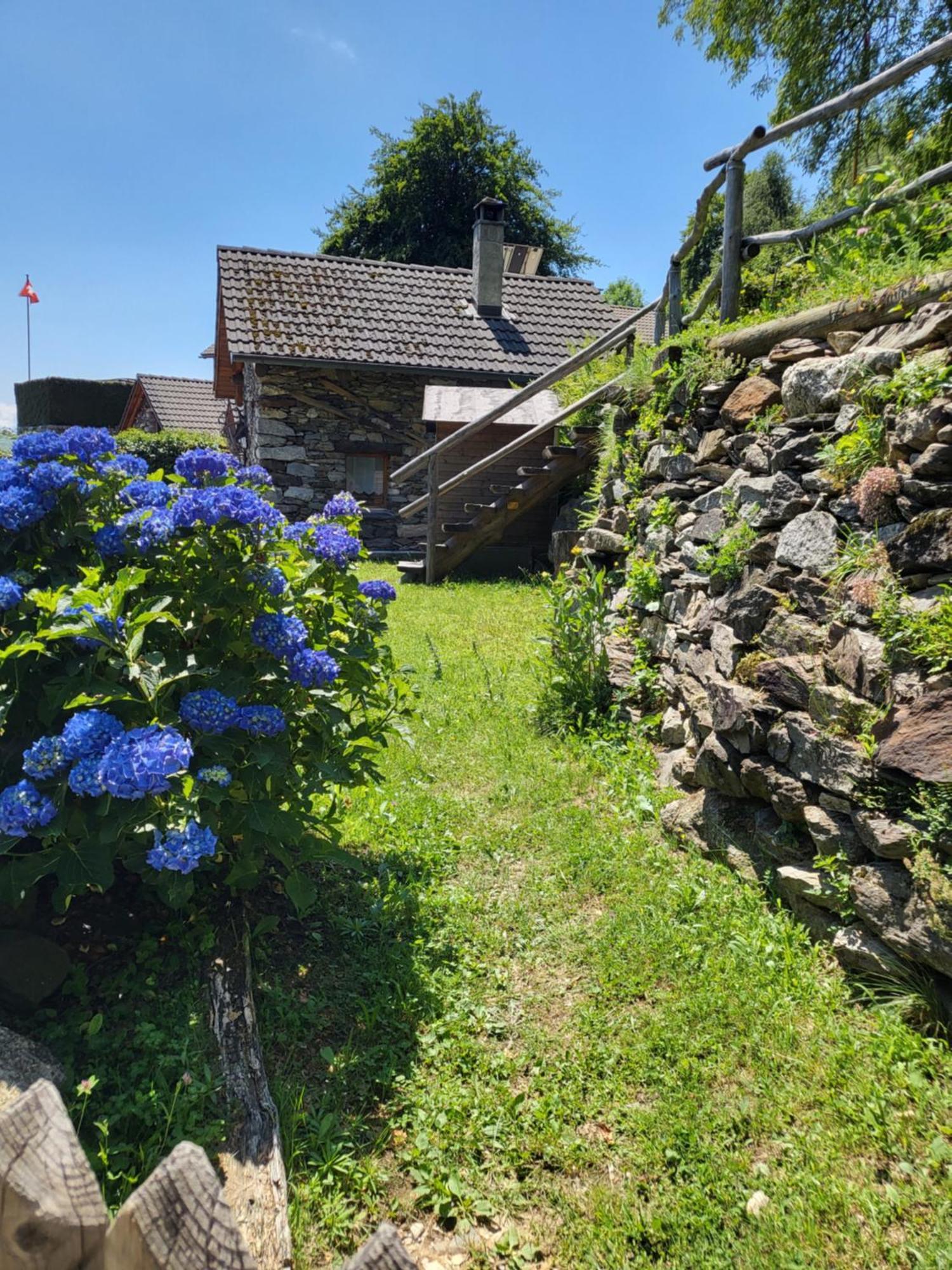 Casa Poiana Villa Ronco sopra Ascona Ngoại thất bức ảnh